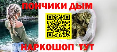 сатива Новодвинск