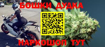 сатива Новодвинск