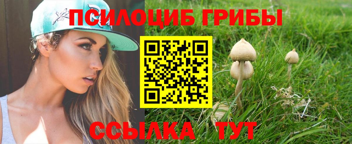 Ханты-Мансийск  Псилоцибиновые грибы Psilocybine cubensis  Псилоцибиновые грибы Psilocybe  купить наркоту  Вход с VPN 